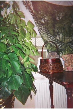 April 2002 Buddha in Asia by my Window