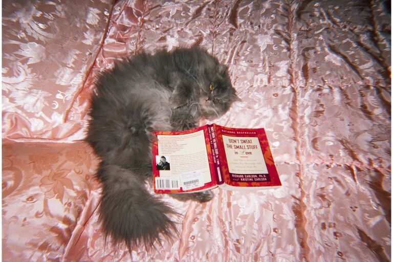 Buddha loves to read and reinforce her cattitude!